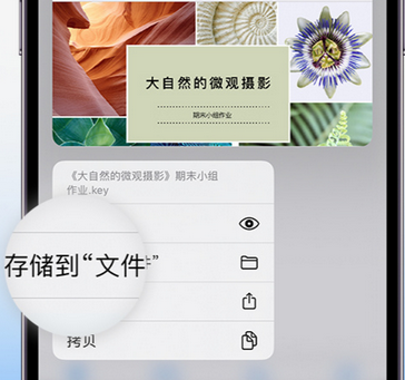 苏尼特左apple维修中心分享iPhone文件应用中存储和找到下载文件