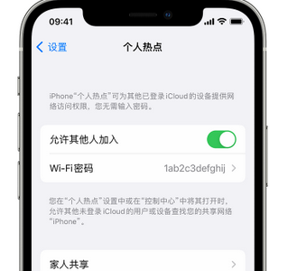 苏尼特左apple服务站点分享iPhone上个人热点丢失了怎么办