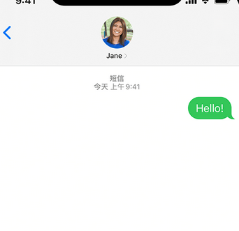 苏尼特左apple维修iPhone上无法正常发送iMessage信息