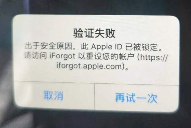 苏尼特左iPhone维修分享iPhone上正常登录或使用AppleID怎么办 