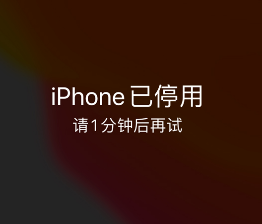 苏尼特左苹果手机维修分享:iPhone 显示“不可用”或“已停用”怎么办？还能保留数据吗？ 