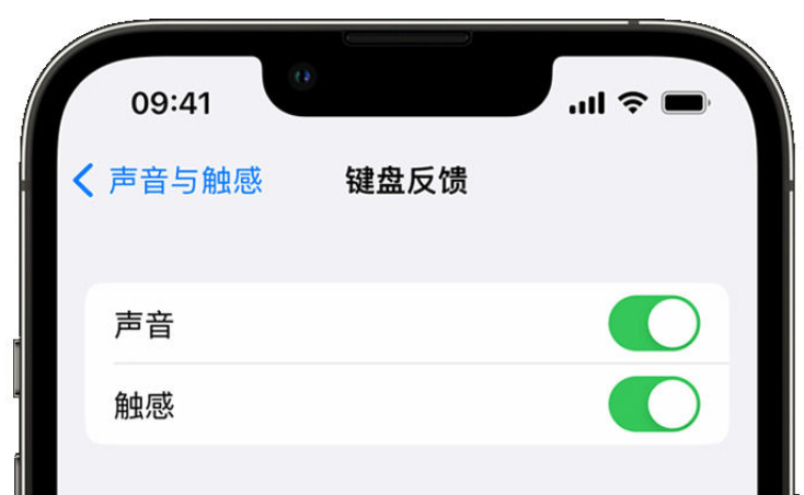 苏尼特左苹果手机维修分享iPhone 14触感键盘使用方法 