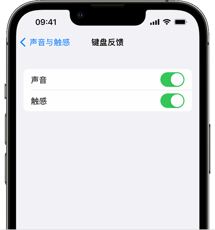 苏尼特左苹果14维修店分享如何在 iPhone 14 机型中使用触感键盘 