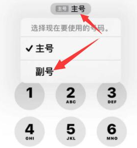 苏尼特左苹果14维修店分享iPhone 14 Pro Max使用副卡打电话的方法 