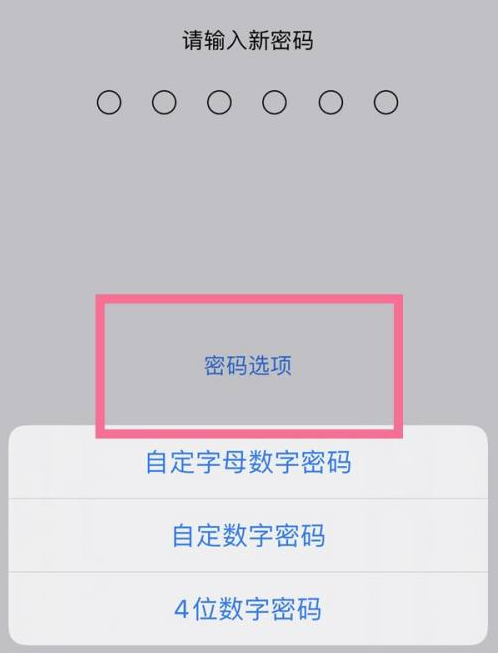 苏尼特左苹果14维修分享iPhone 14plus设置密码的方法 