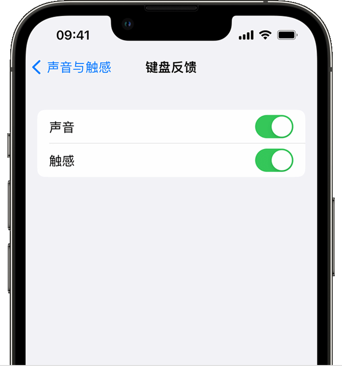 苏尼特左苹果14维修分享iPhone 14 系列机型如何开启键盘声音或触感反馈 