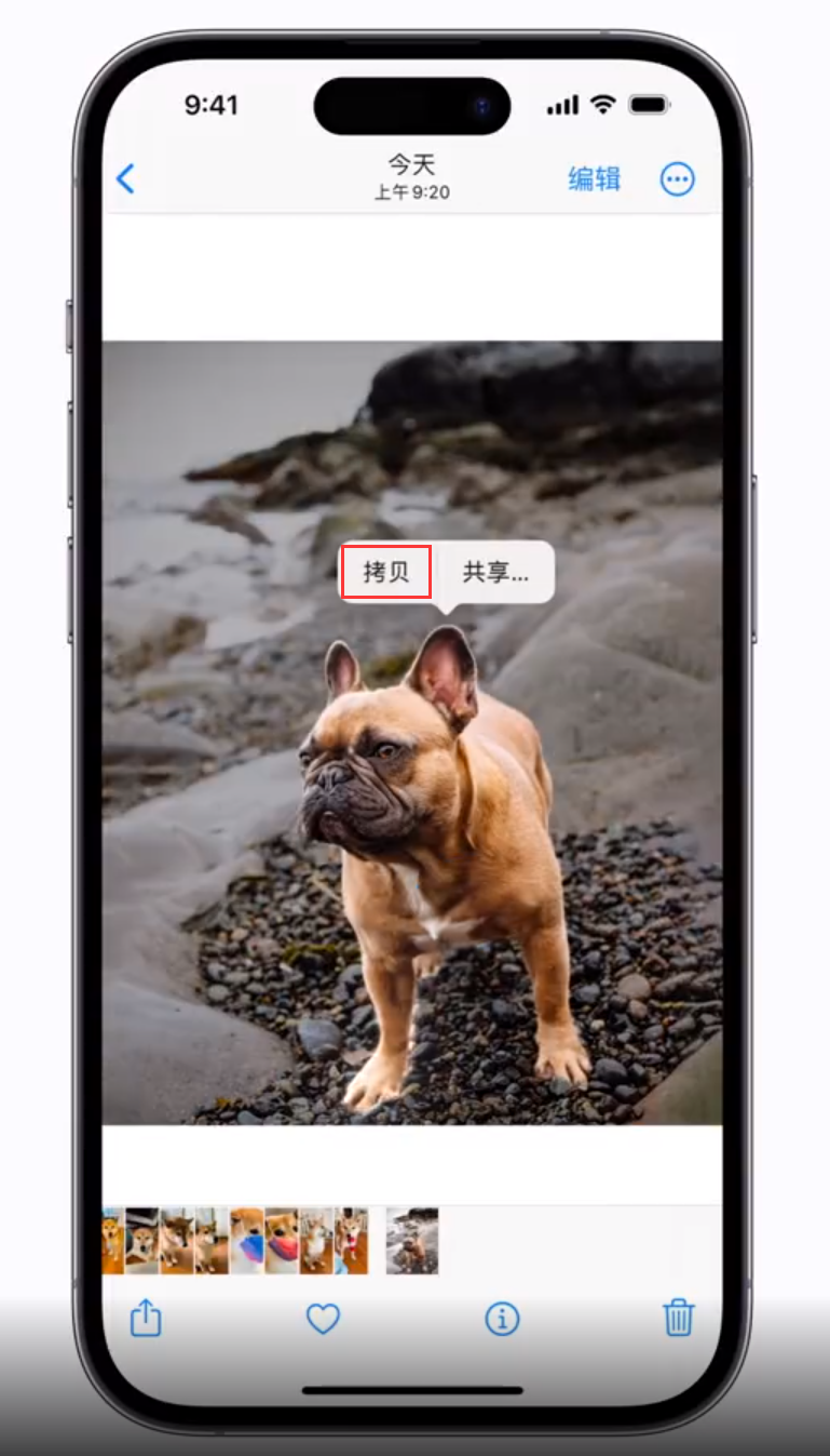 苏尼特左苹果手机维修分享 iOS 16 自带一键抠图功能 
