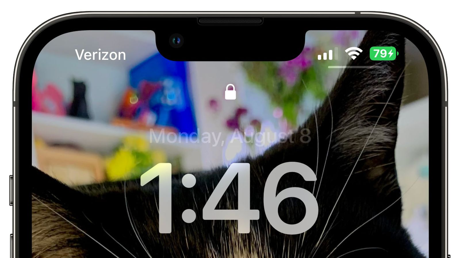 苏尼特左苹果手机维修分享iOS 16 beta 5 支持状态栏显示电池百分比，如何开启？支持哪些机型 