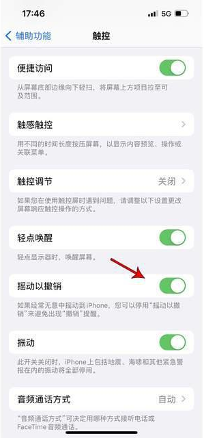 苏尼特左苹果手机维修分享iPhone手机如何设置摇一摇删除文字 