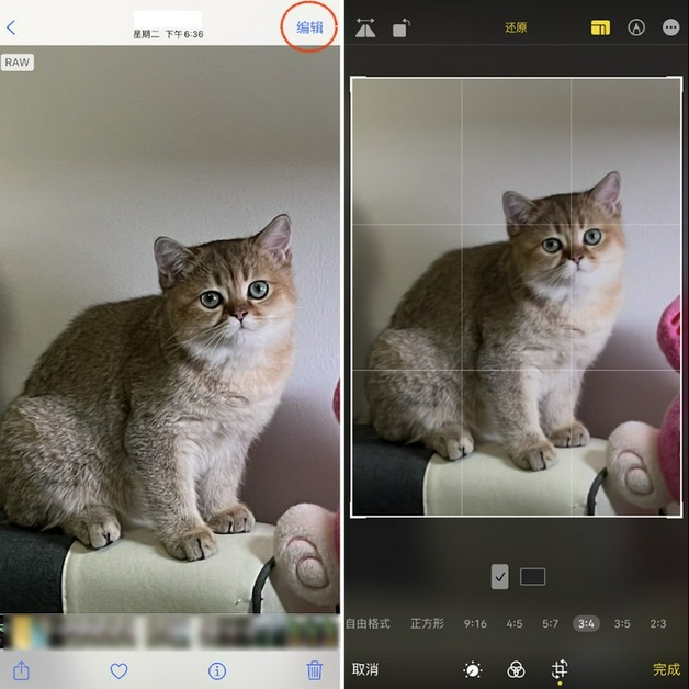 苏尼特左苹果手机维修分享苹果 iPhone 12 Pro 拍照会过度锐化 