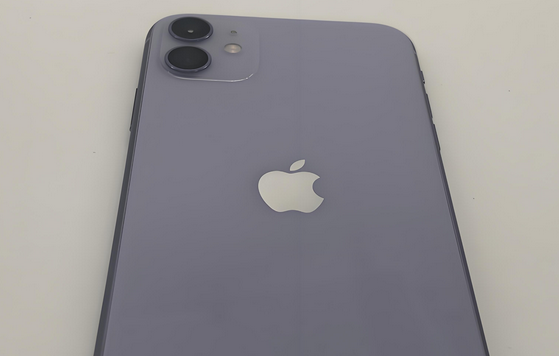 苏尼特左苹果11系统维修分享iPhone11手机系统崩溃无法开机如何解决